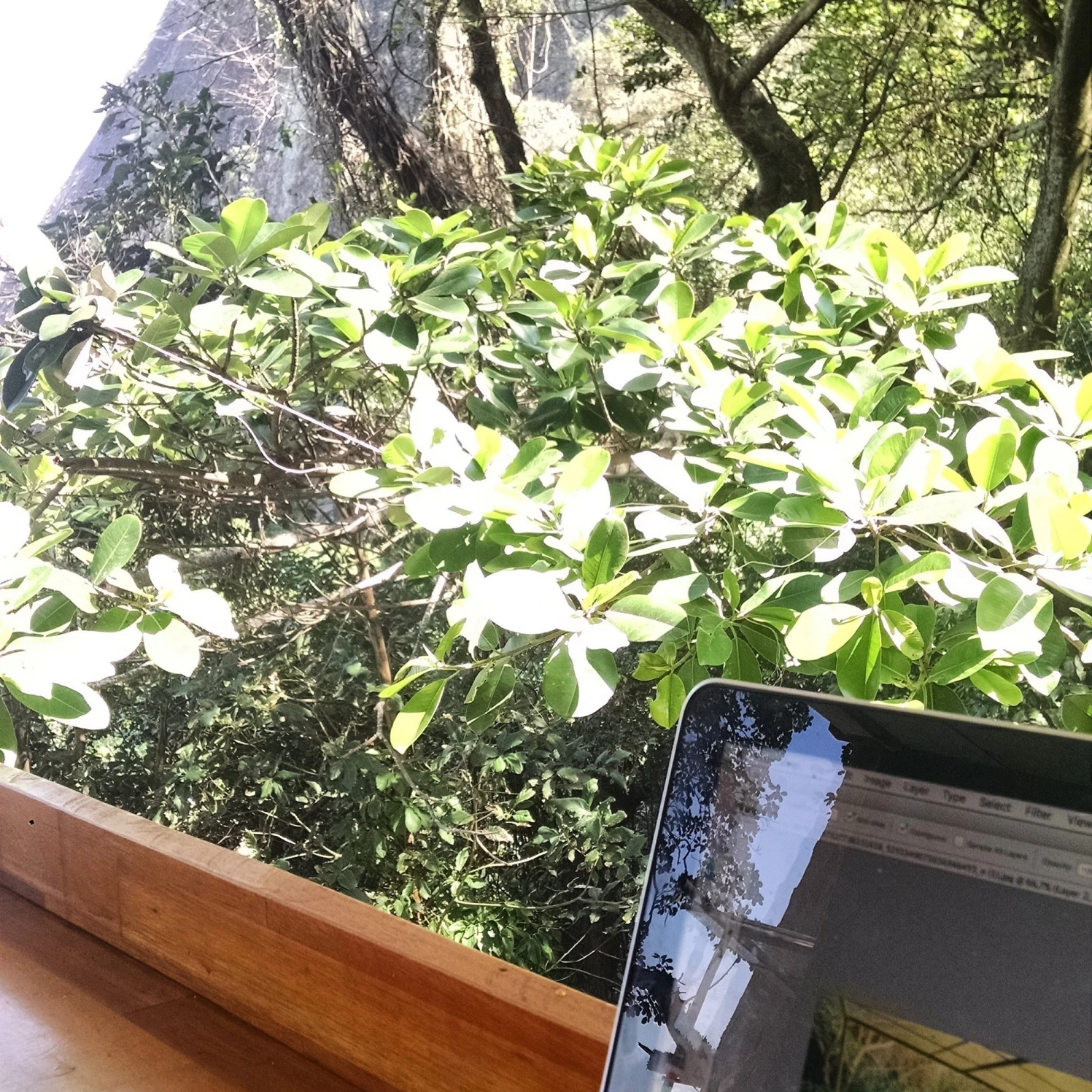 Refuge at Chácara do Céu - South American Flavors - Image